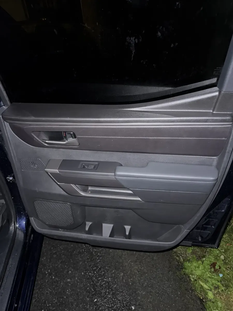 After: rear door panel, cleaned
