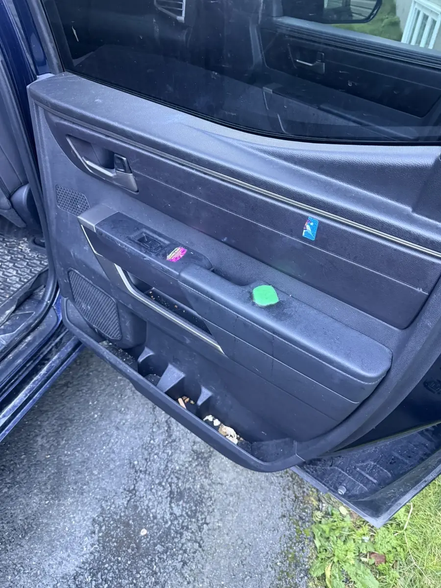 Before: rear door panel of a pickup truck