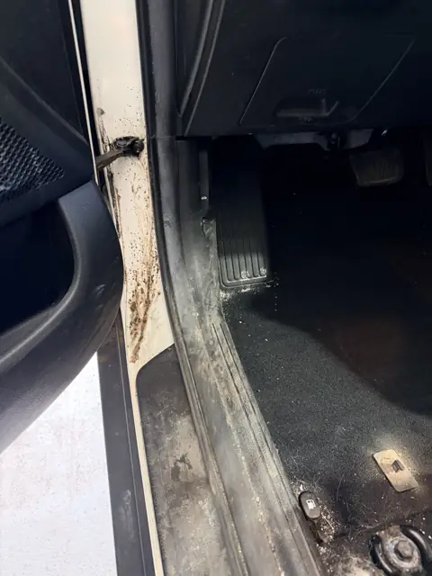 White crossover, cargo area, door panels and jambs, before